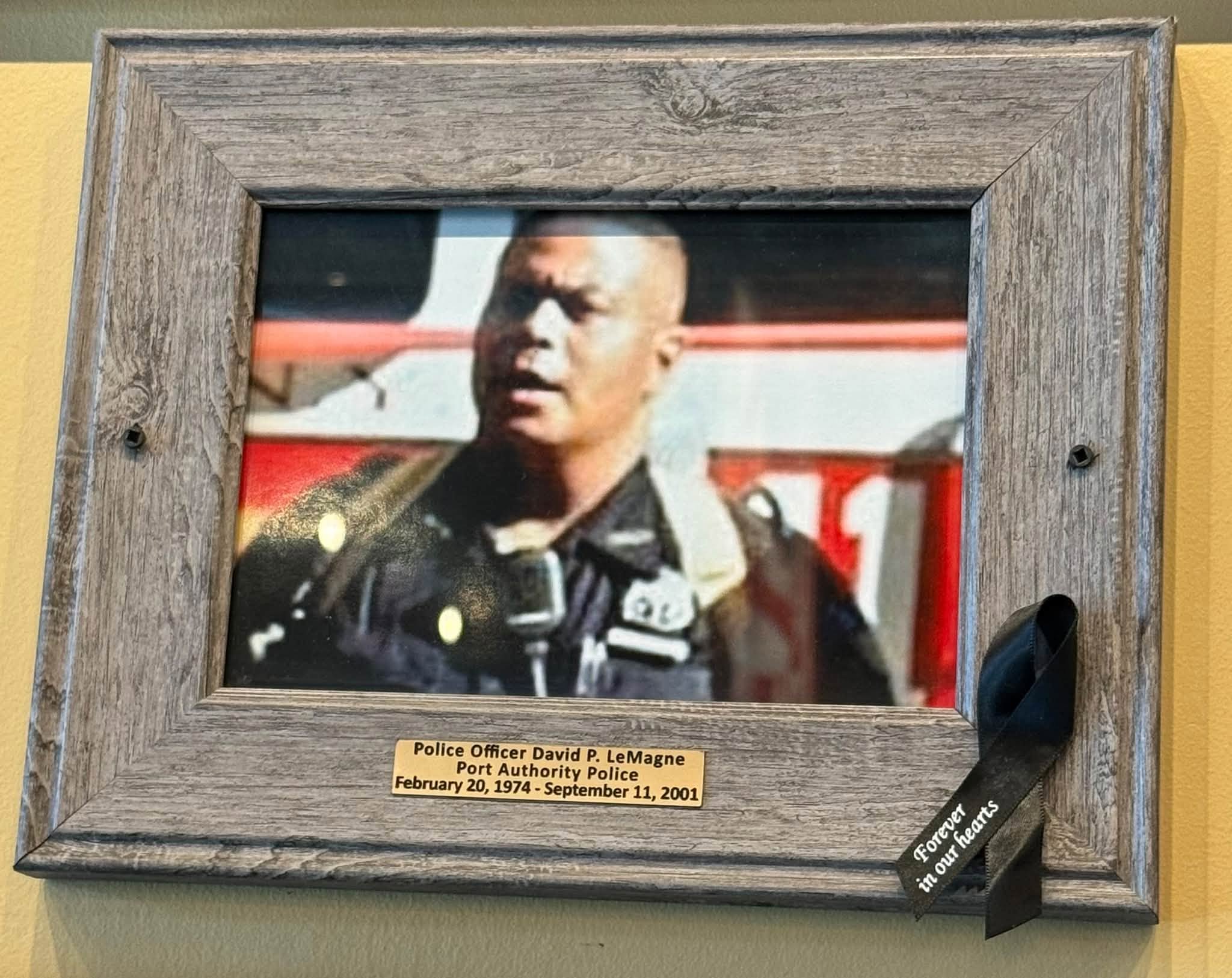 Memorial portrait of David P. Lemagne